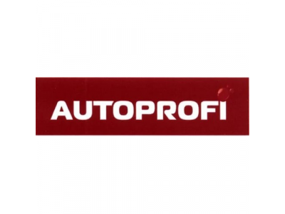 Ремень багажный 4,5 м. (прочность 960 кг.) с храповым механ. кт.2шт.AUTOPROFI